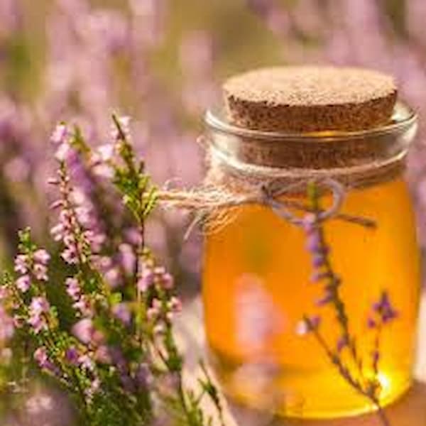 قیمت خرید عسل زرشک خراسان با فروش عمده